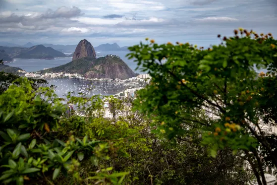 É necessário seguro viagem para viagens nacionais? É necessário seguro viagem para viagens nacionais?